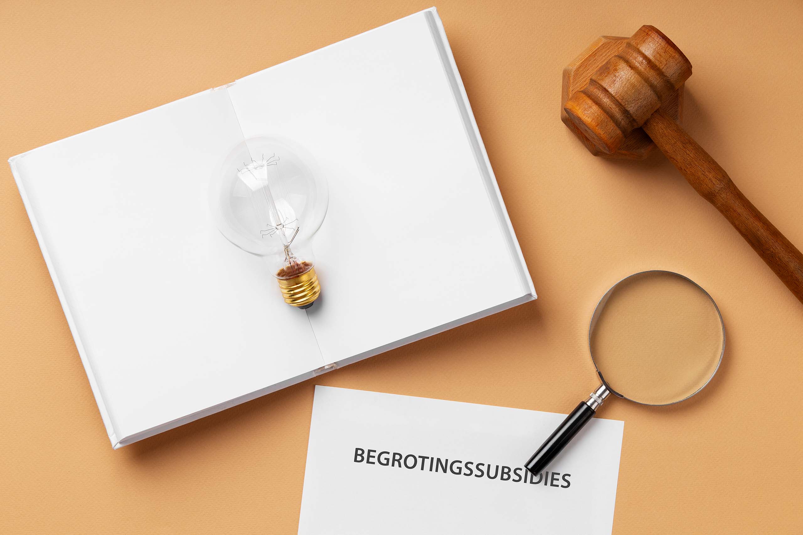begrotingssubsidies xpert insight